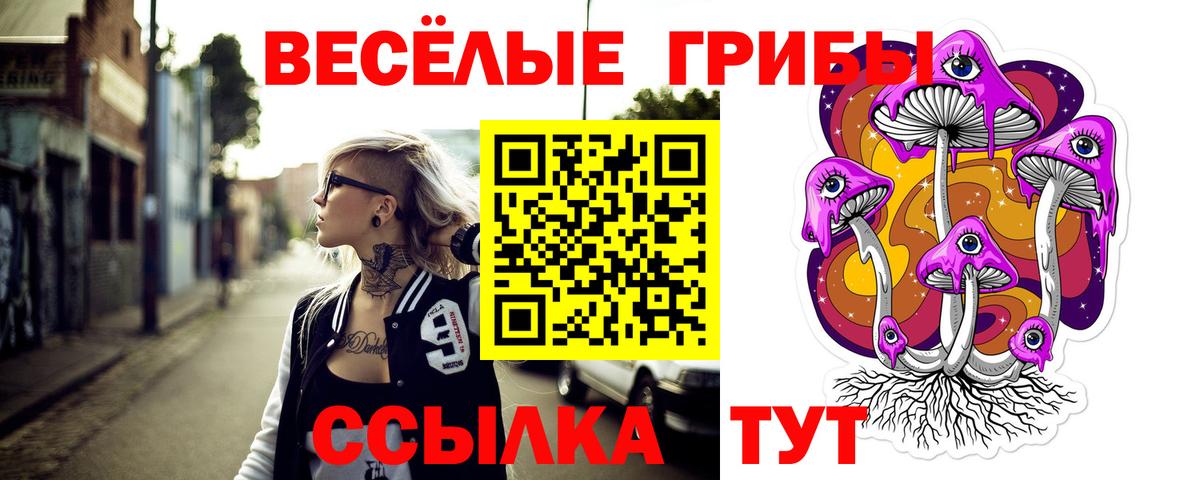 Балахна  Галлюциногенные грибы Magic Shrooms  закладки  Вход с VPN  Галлюциногенные грибы мухоморы 