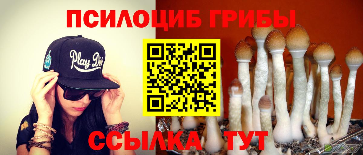 Псилоцибиновые грибы ЛСД Балахна